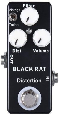 BLACK RAT