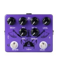 Ragnarock Reverb & Delay